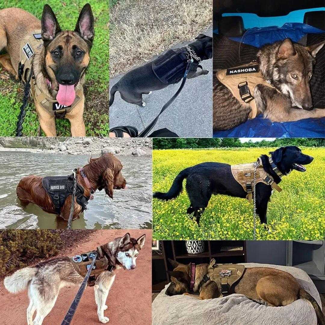 Norvo | KrachtGrip Hundesele – Justerbar Taktisk Sele for Trening & Turer
