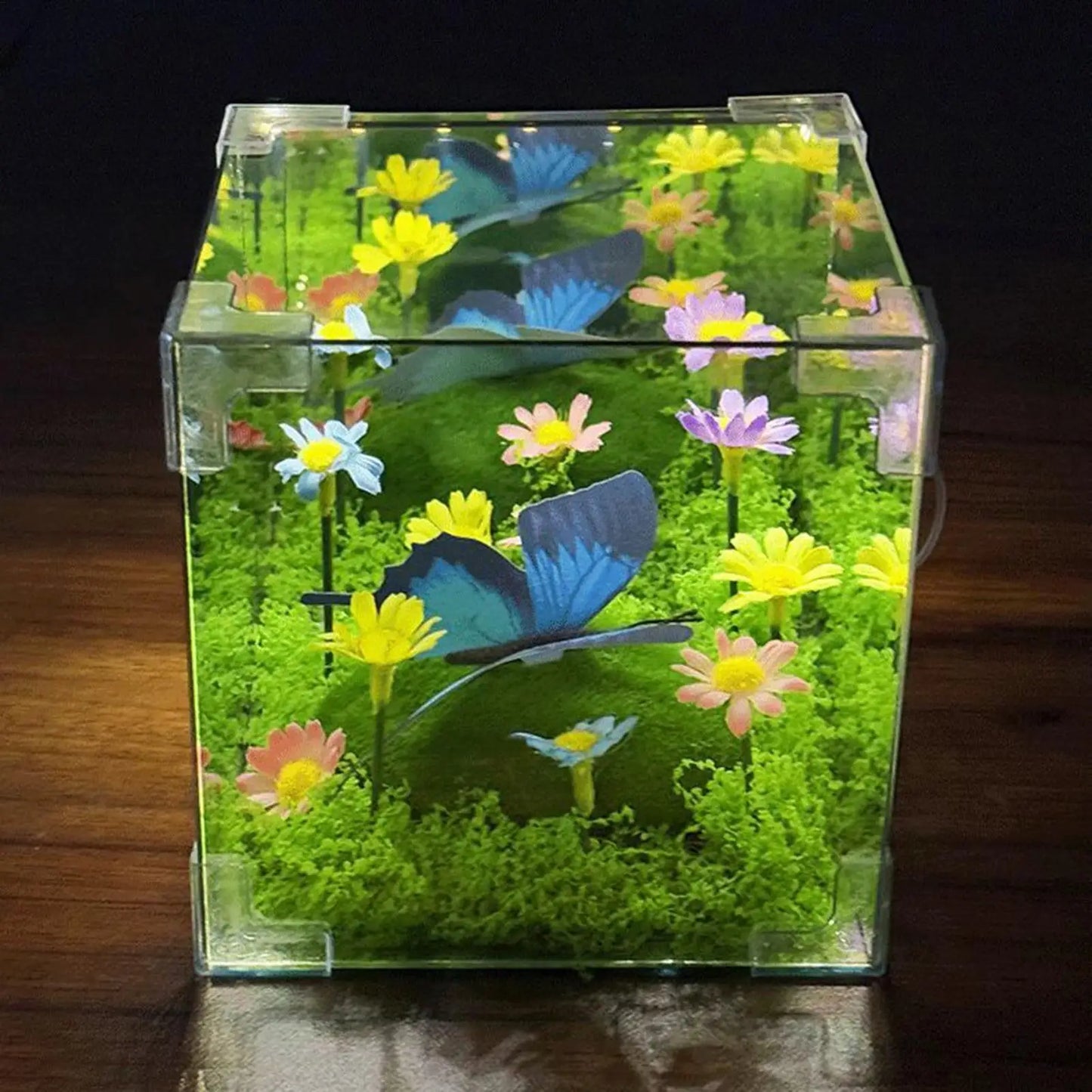 Norvo | LED Sommerfugl Hage Kuben Nattlys Dekor