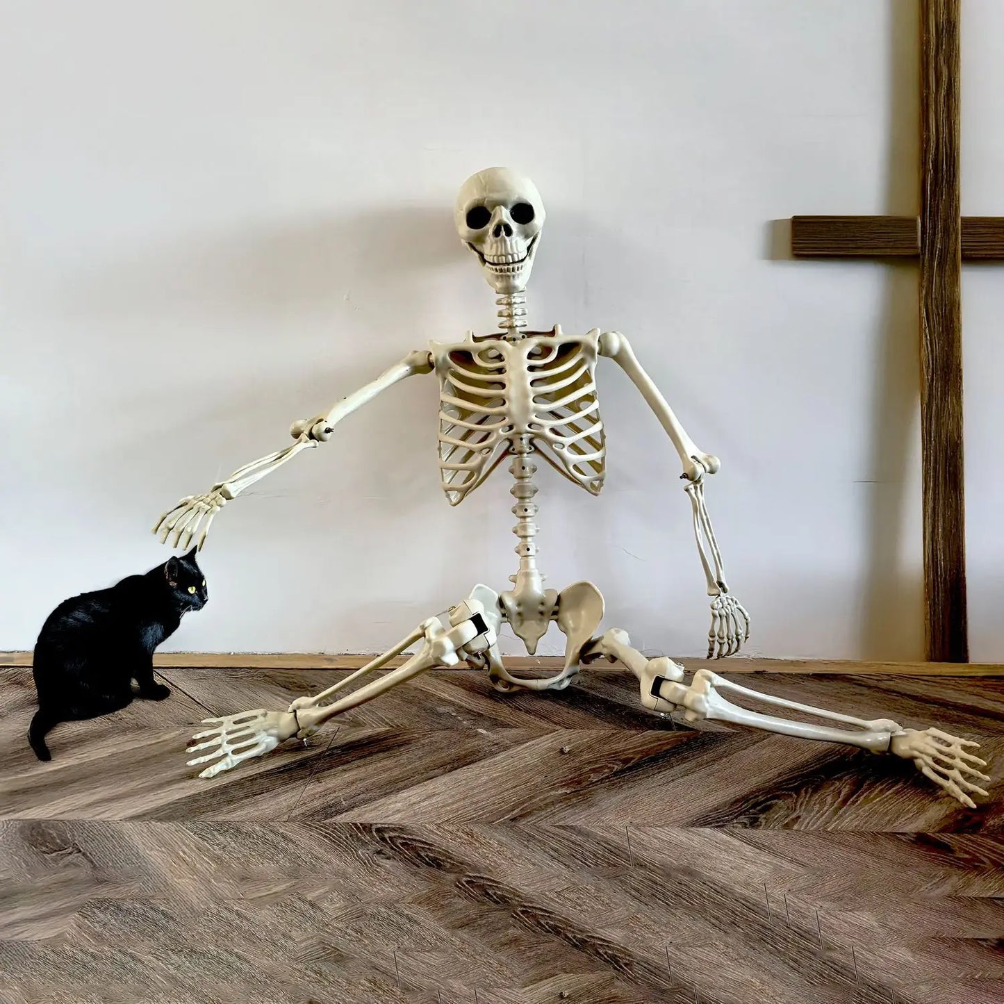 Norvo | Flyttbar menneskelig skjelett 90–165 cm — realistisk dekorasjon for Halloween og skrekkfester