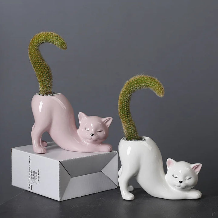 Søt katt blomsterpotte - Glasert porselen saftig planter | Norvo
