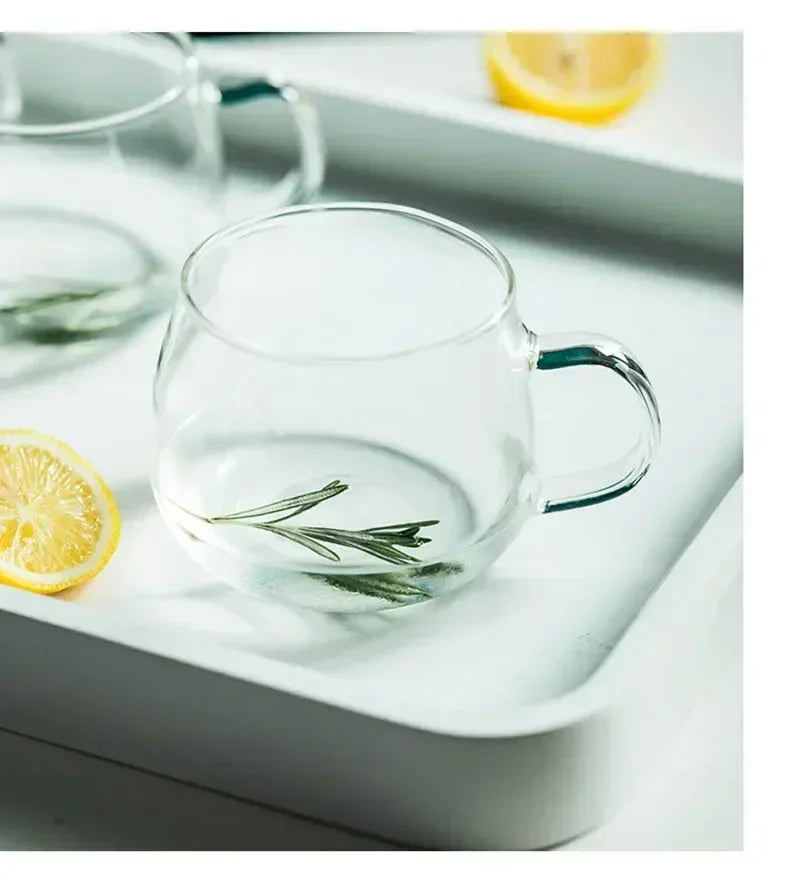 Norvo | 1.8L Gjennomsiktig Borosilikatglass Tekanne – Varmebestandig stor klar tekanne for Puer, Blomsterte, Kontor & Hjem