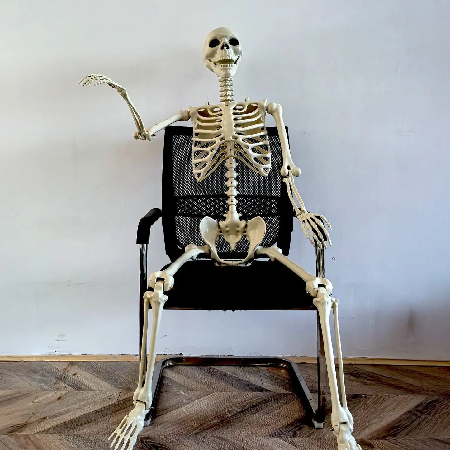 Norvo | Flyttbar menneskelig skjelett 90–165 cm — realistisk dekorasjon for Halloween og skrekkfester