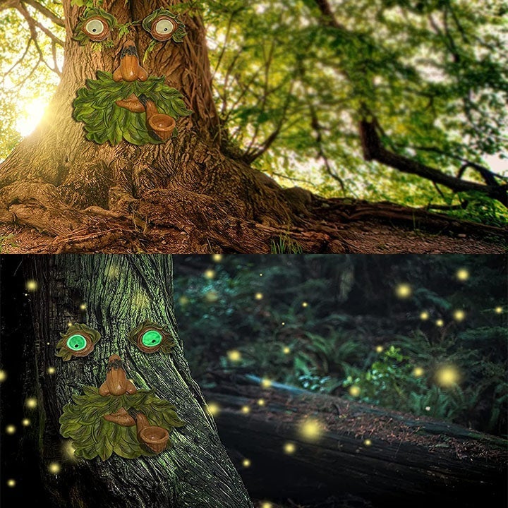 Norvo | Eyes of Nature: Tre Ansikt Fugl Matestasjon