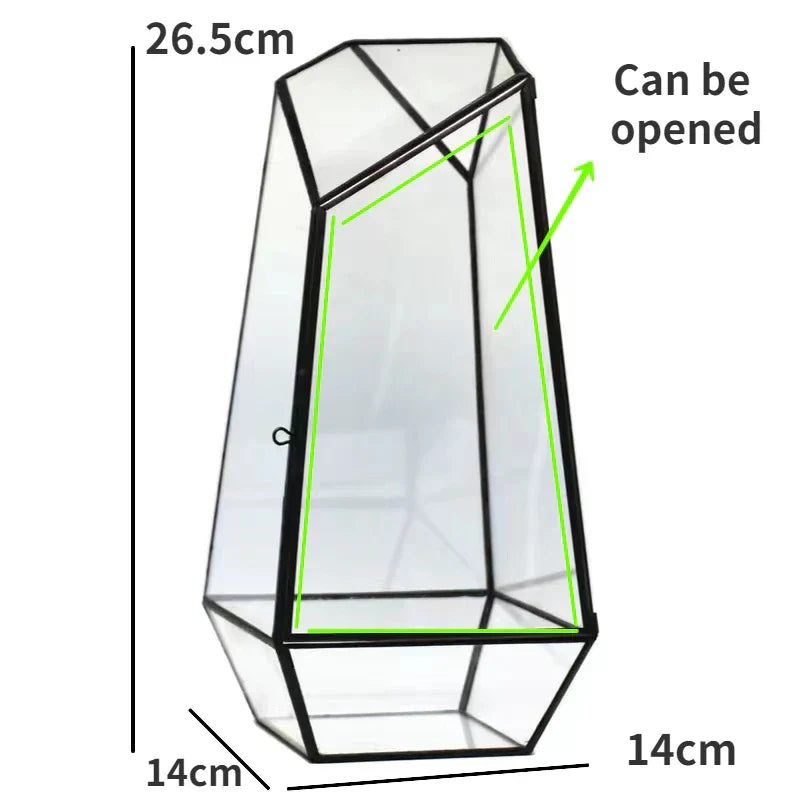 Moderne Geometriske Natur-Inspirerte Botaniske Terrarium | Norvo
