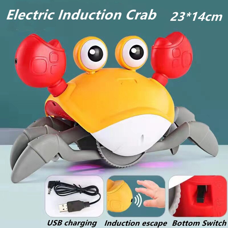 Norvo | Havutforsker Interaktiv Blekkulflekk