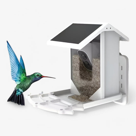 Norvo | Auxco | Smart Bird Feeder med 1080P HD Kamera, AI Fuglgjenkjenning & Solenergi Lading