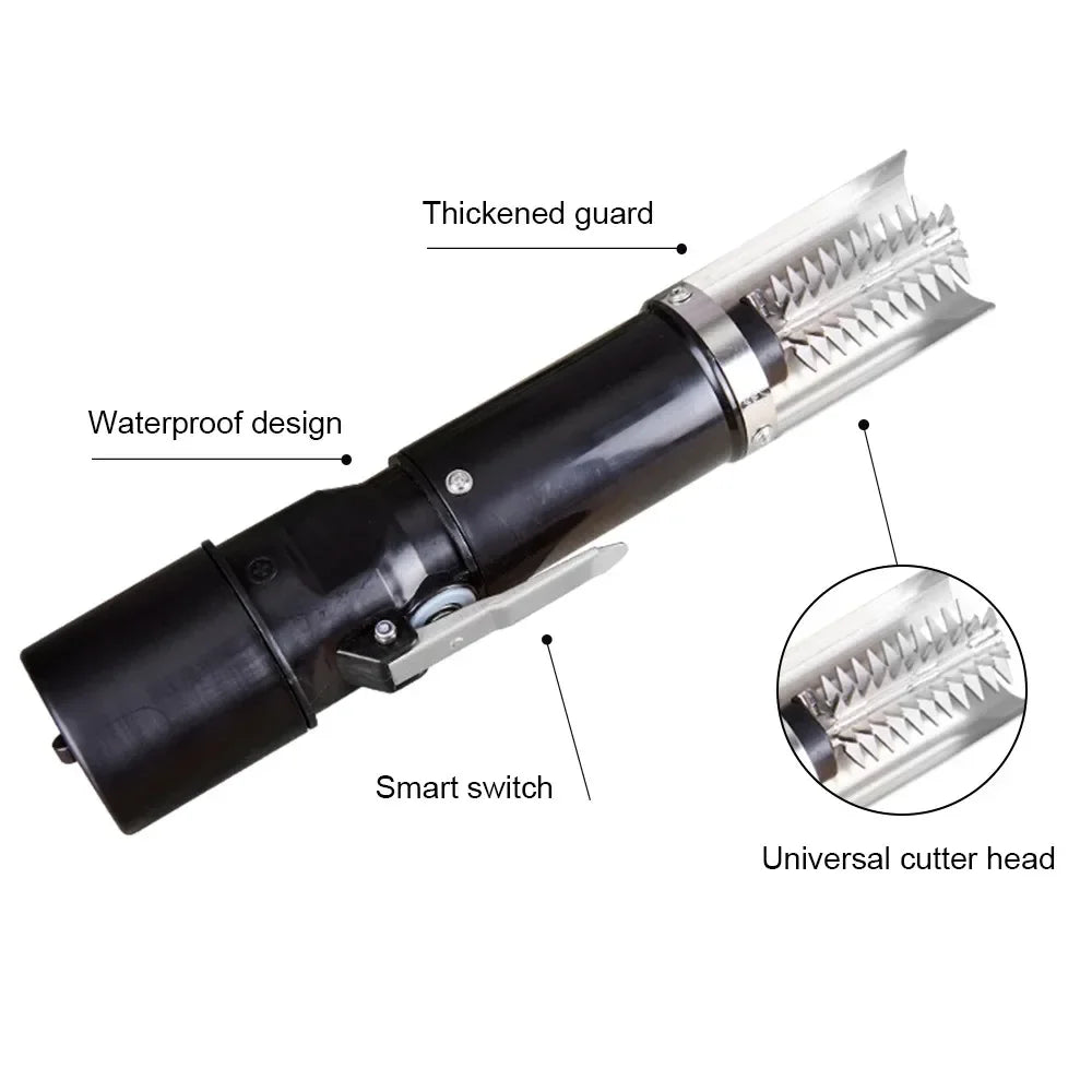 Norvo | Ultimate Fish Cleaner Prep Scale Remover