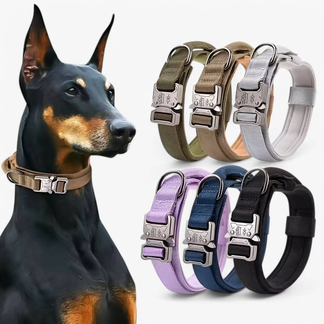 Norvo | OutdoorHeld Hundehalsbånd – For aktive hunder med utholdenhet