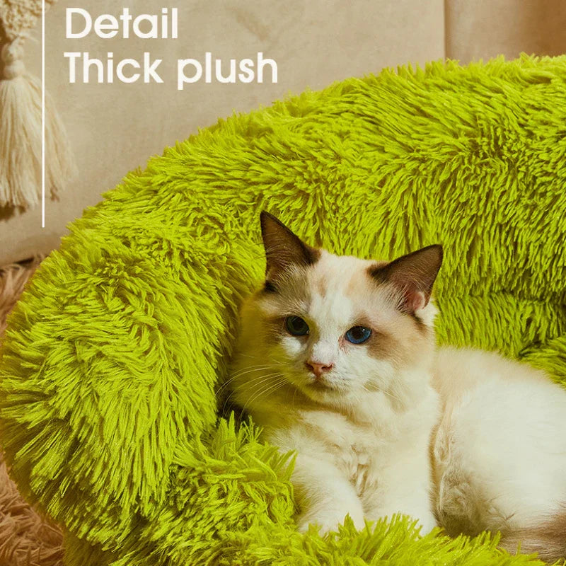 Norvo | Mini Monster Koseseng