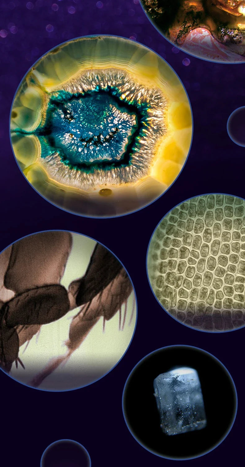 Norvo | Bærbar HD Optisk Eventyr Mikroskop