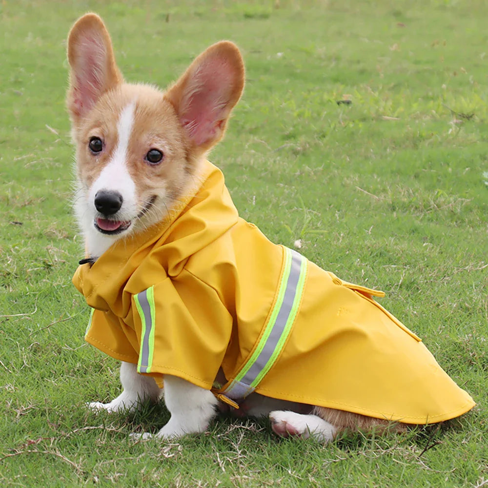 Vanntett hunderegnjakke med hette og refleksjoner Norvo