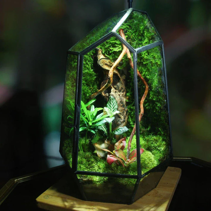 Moderne Geometriske Natur-Inspirerte Botaniske Terrarium | Norvo