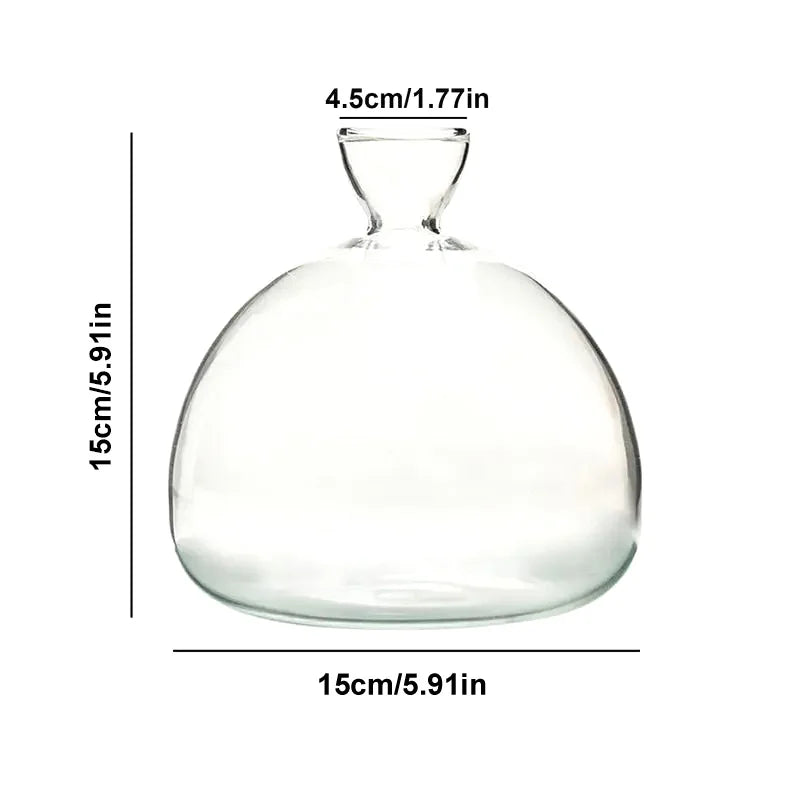Norvo | Avokado Vase Glass | Transparent Spireglass | Plantekonteiner for Avokado Dyrking | 10–15 cm