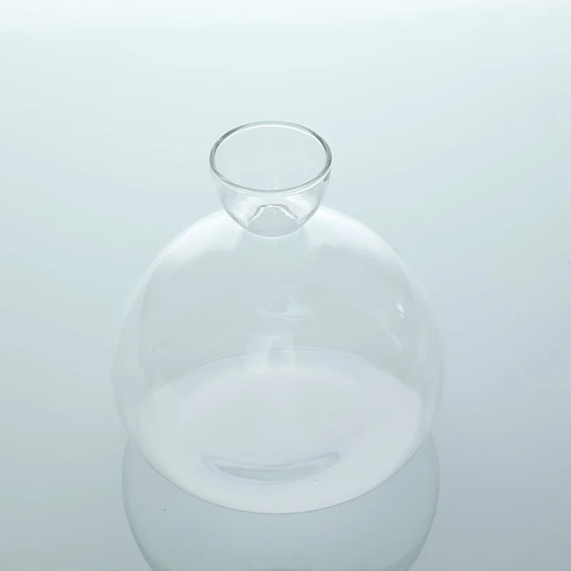 Norvo | Avokado Vase Glass | Transparent Spireglass | Plantekonteiner for Avokado Dyrking | 10–15 cm