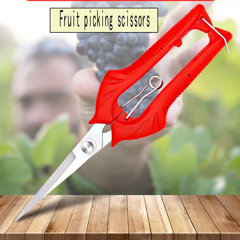 Norvo | Schnittwerk Hage Saks | Presis Klipping for Frukttrær & Bonsai | Ergonomisk & Skarp | For Høsting & Beskjæring