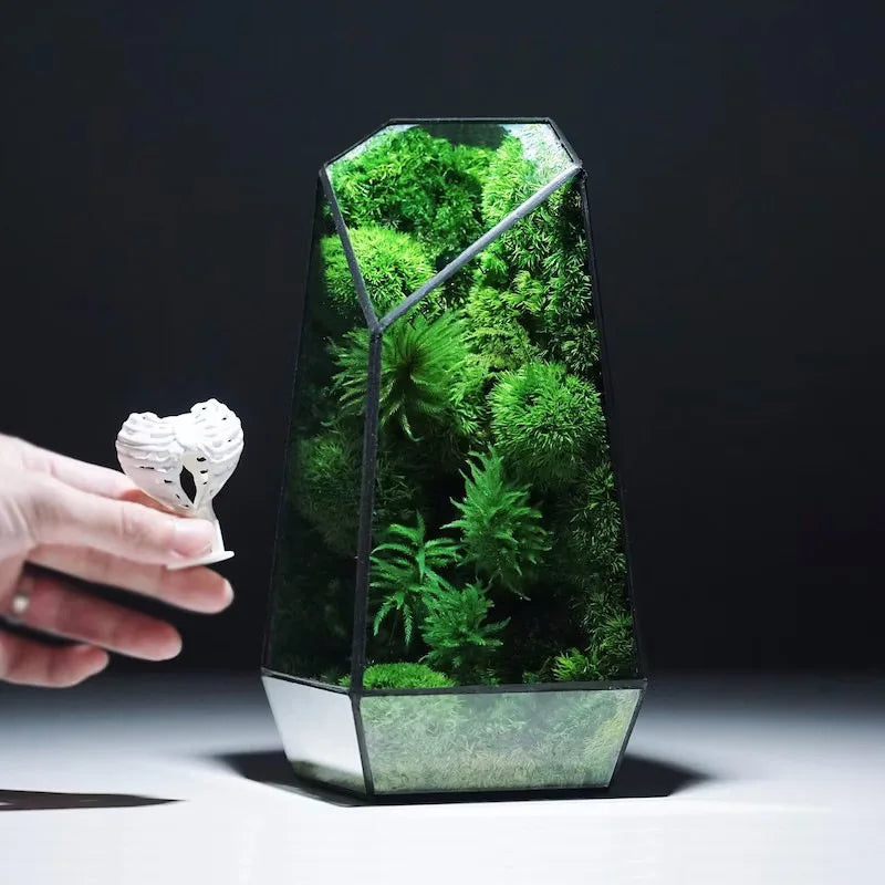 Moderne Geometriske Natur-Inspirerte Botaniske Terrarium | Norvo