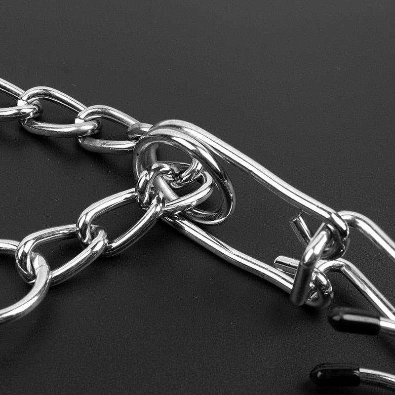 Norvo | Dog Pincher Collar - Stylish B