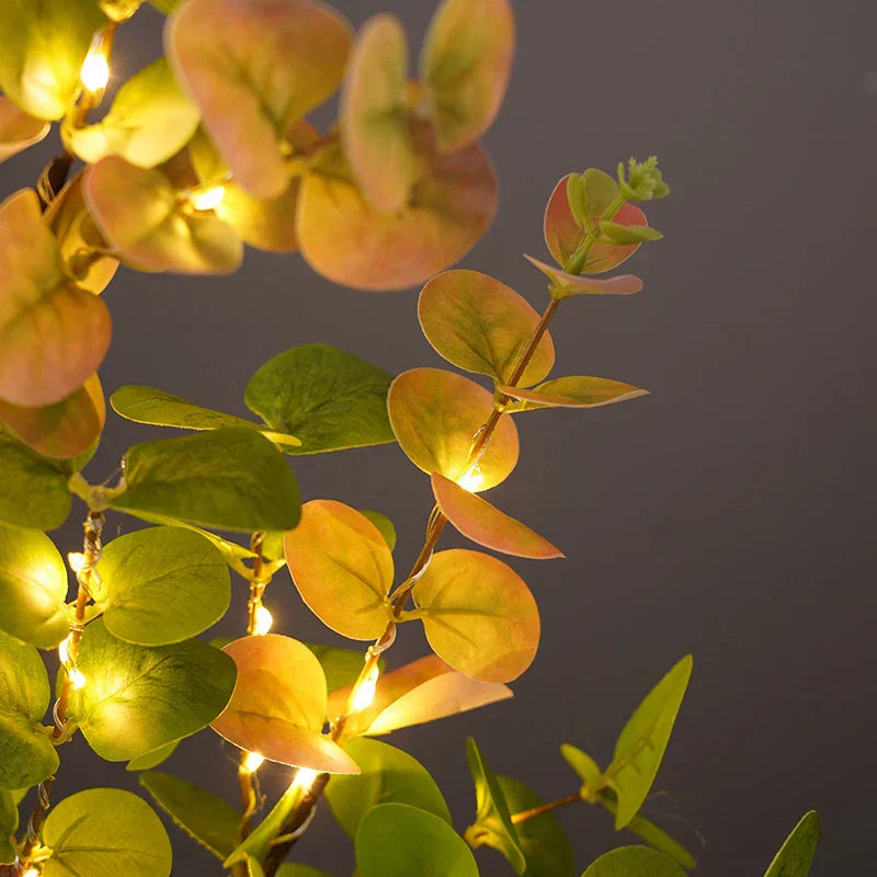 Norvo | Tre-lampe med avtagbar base