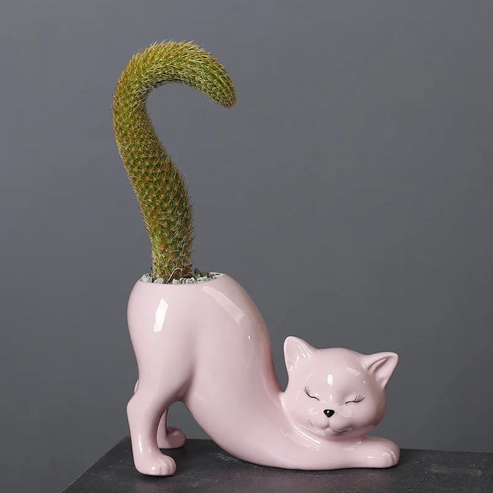 Søt katt blomsterpotte - Glasert porselen saftig planter | Norvo