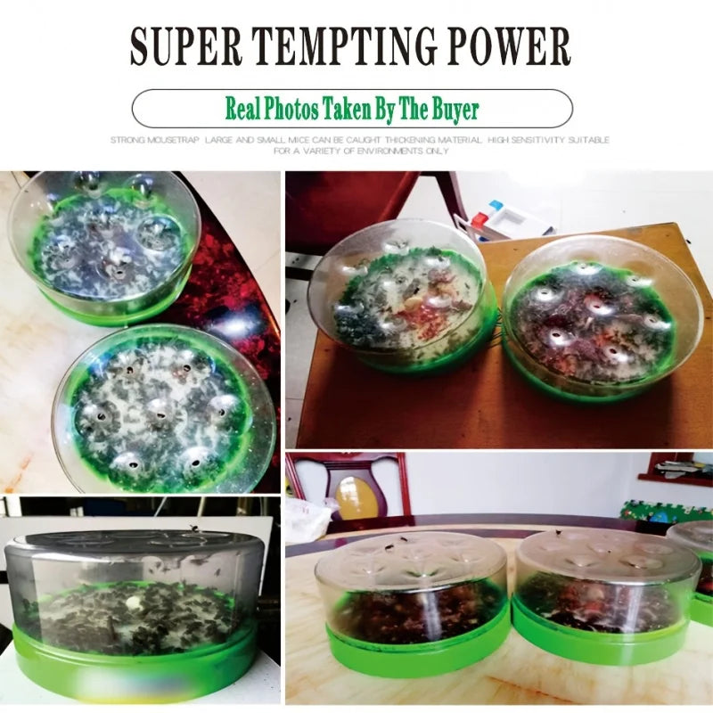 Norvo | Fluefelle EcoFlyTrap 7 | 7 fangåpninger | Gjenbrukbar & Giftfri | Uten elektrisitet