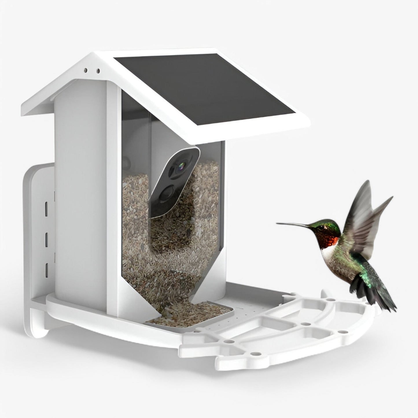 Norvo | Auxco | Smart Bird Feeder med 1080P HD Kamera, AI Fuglgjenkjenning & Solenergi Lading