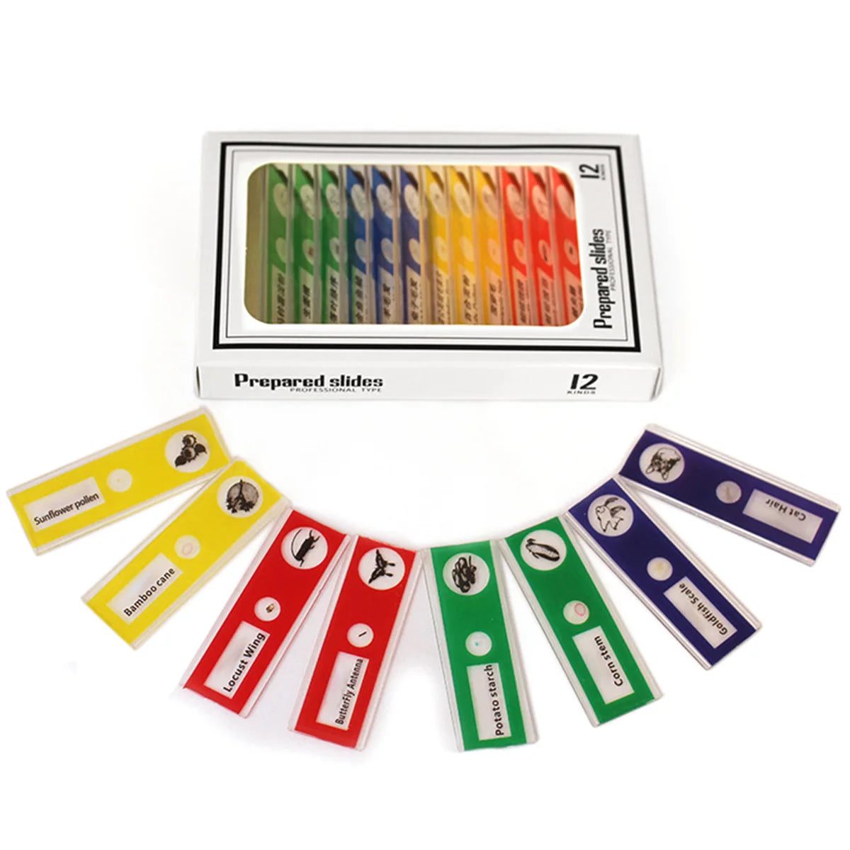 Norvo | Bærbar HD Optisk Eventyr Mikroskop