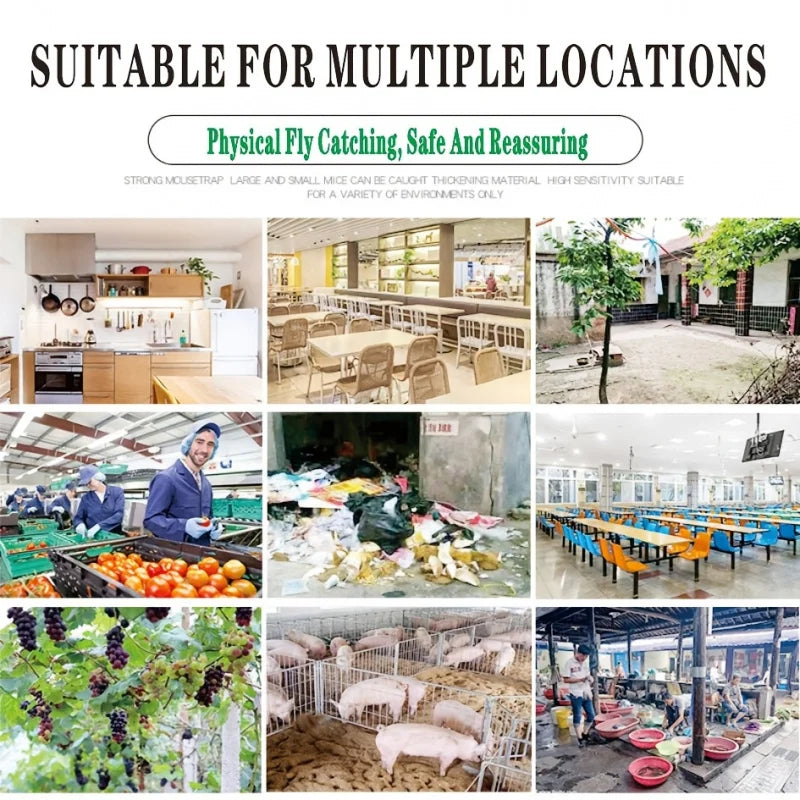 Norvo | Fluefelle EcoFlyTrap 7 | 7 fangåpninger | Gjenbrukbar & Giftfri | Uten elektrisitet