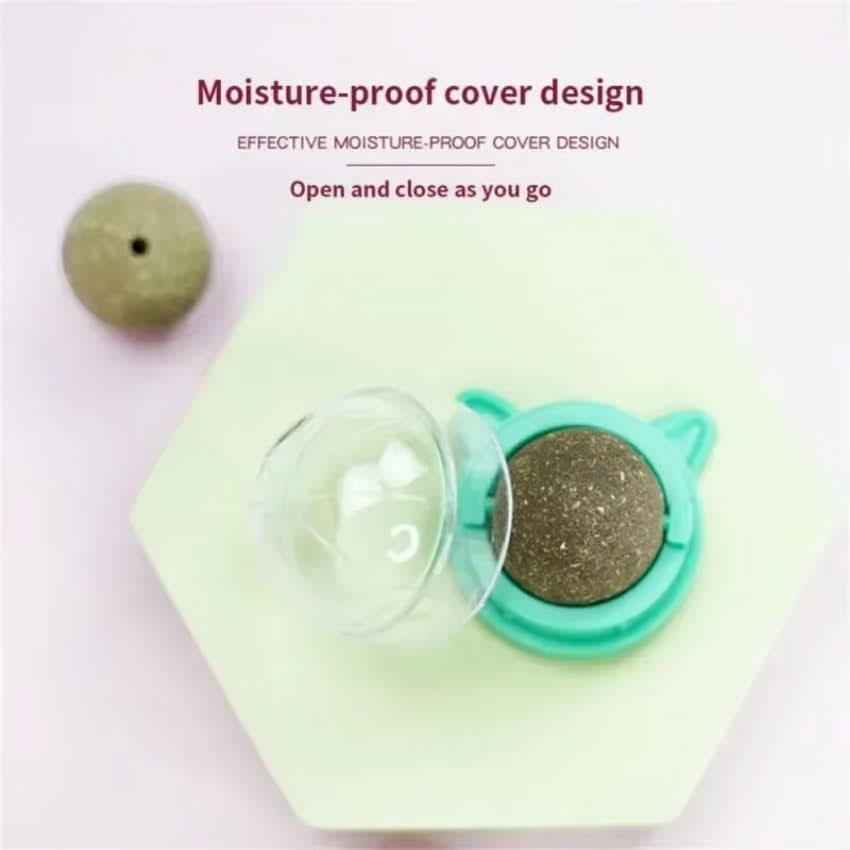 Norvo | leke med kattemynte for tannpleie og leketid moro