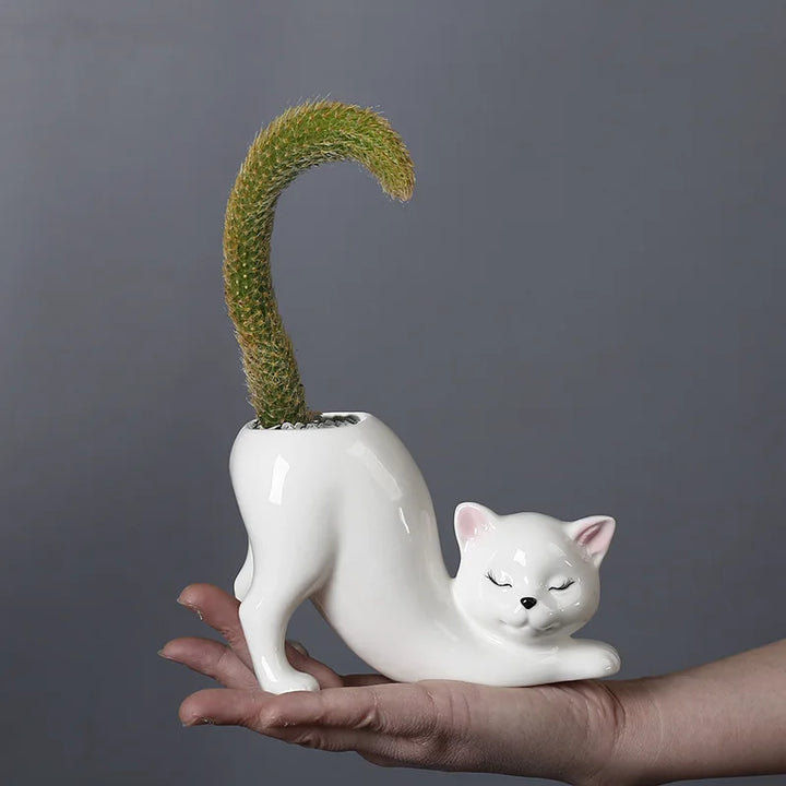 Søt katt blomsterpotte - Glasert porselen saftig planter | Norvo