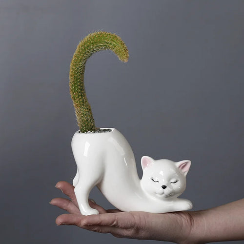Søt katt blomsterpotte - Glasert porselen saftig planter | Norvo