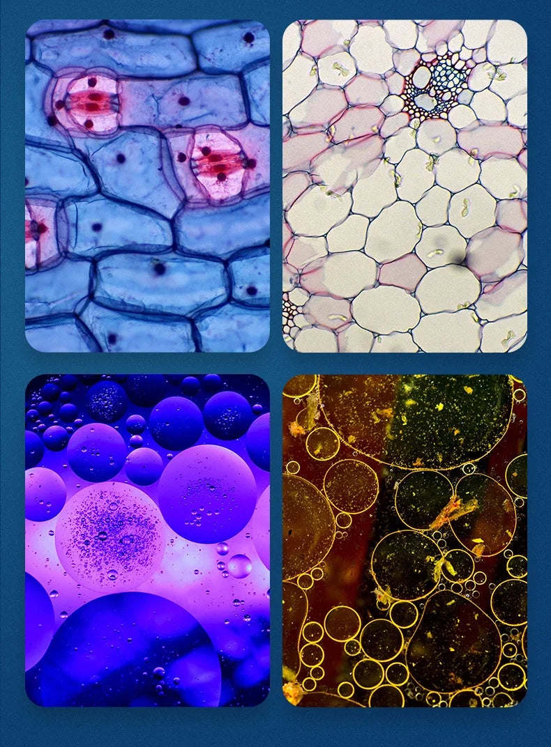 Norvo | Bærbar HD Optisk Eventyr Mikroskop