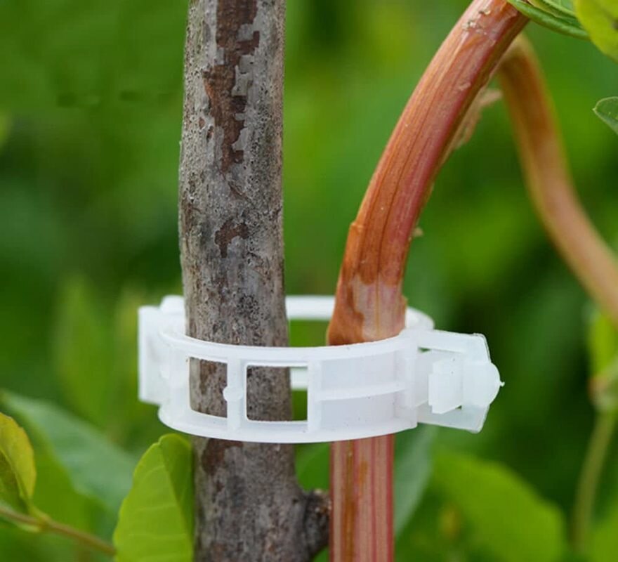 Norvo | Grønn Hage Sikker Plante Støtte Klemmer