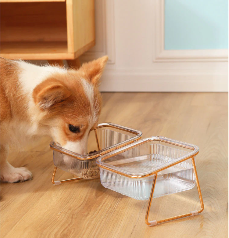 Trendy Feeder for Stylish Animals Norvo