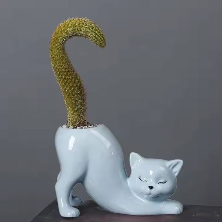 Søt katt blomsterpotte - Glasert porselen saftig planter | Norvo