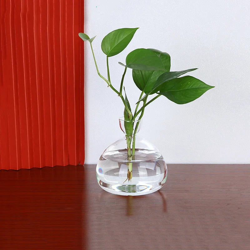 Norvo | Avokado Vase Glass | Transparent Spireglass | Plantekonteiner for Avokado Dyrking | 10–15 cm