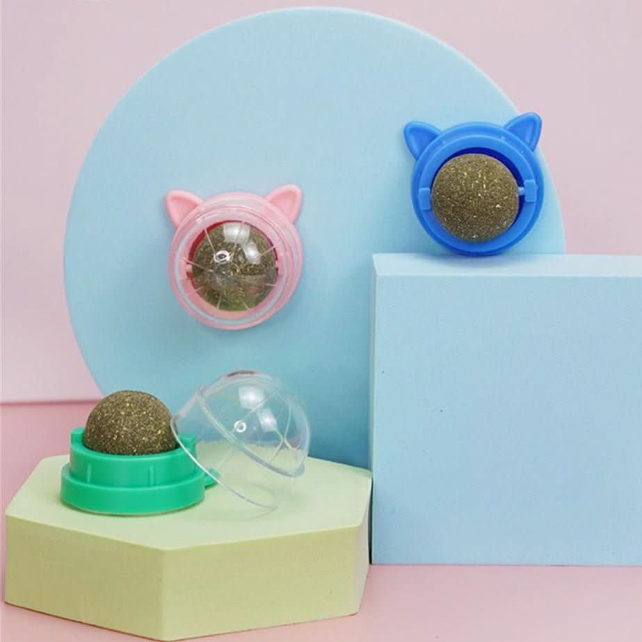 Norvo | PURRFECT KATTNIP LEKETØY – Katt leketøy med mynt & roterende ball for sunne tenner