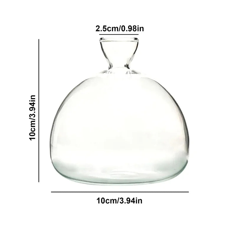 Norvo | Avokado Vase Glass | Transparent Spireglass | Plantekonteiner for Avokado Dyrking | 10–15 cm