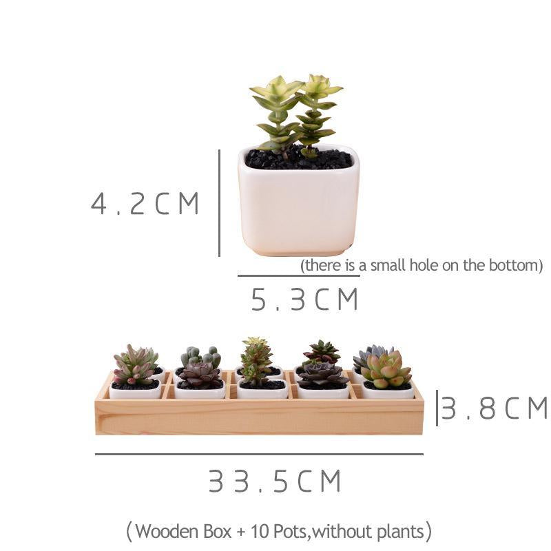Norvo | Mini Planter Tray Set