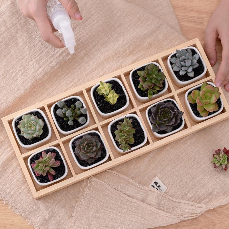 Norvo | Mini Planter Tray Set