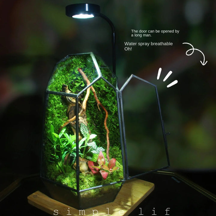 Moderne Geometriske Natur-Inspirerte Botaniske Terrarium | Norvo