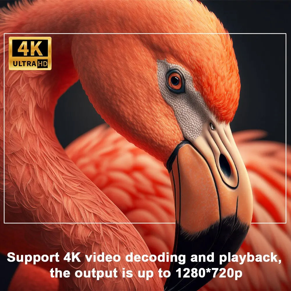 Norvo | – 4K Android-projektor Pro