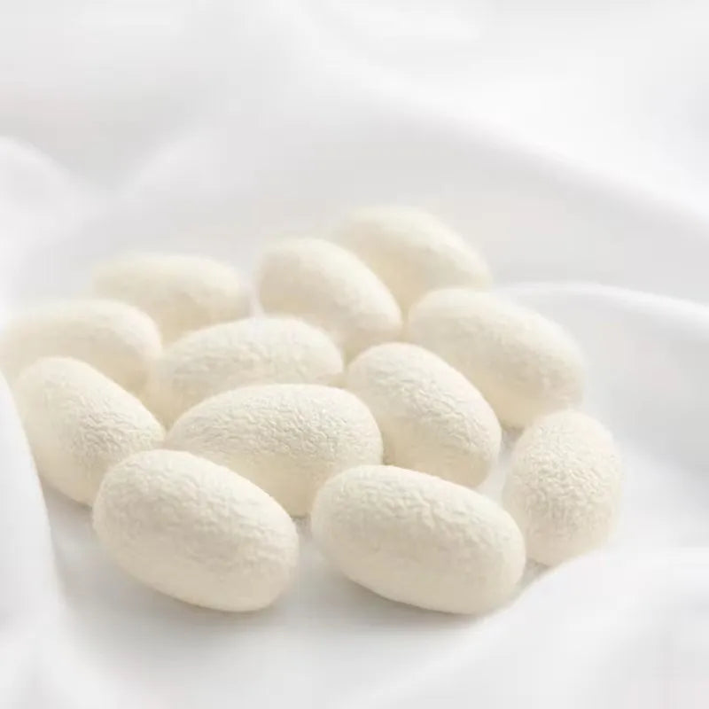 Norvo | Luksuriøst Vinter Dyne laget av 100% Mulberry Silke