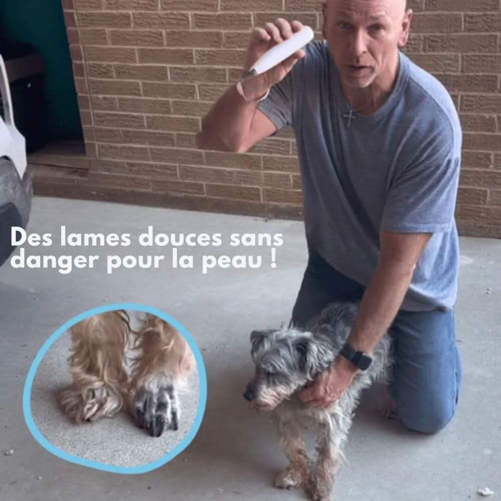 Norvo | Støyreduserende pelsklipper for sensitive områder hos hunder og katter