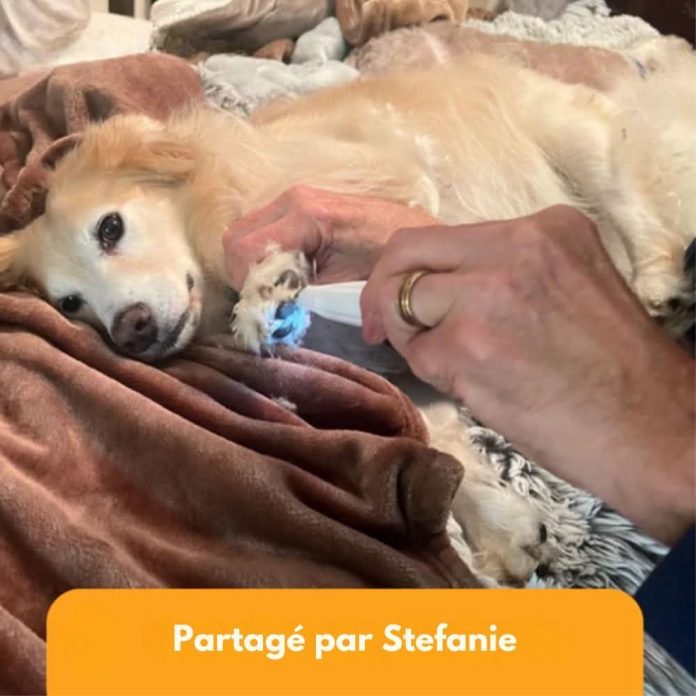 Norvo | SilentPet Trimmer – Stille pels trimmer for sensitive områder på hund & katt