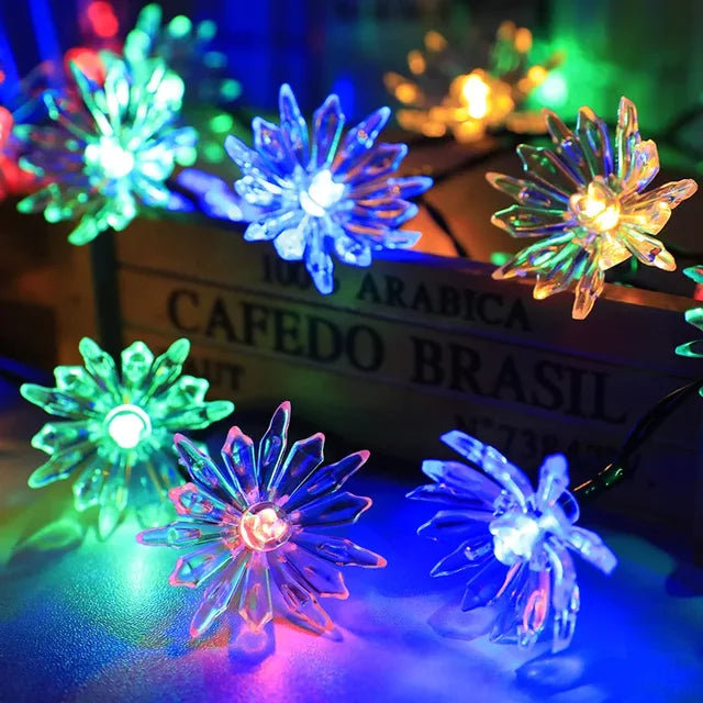 Norvo | Peach Blossom Fairy Lights