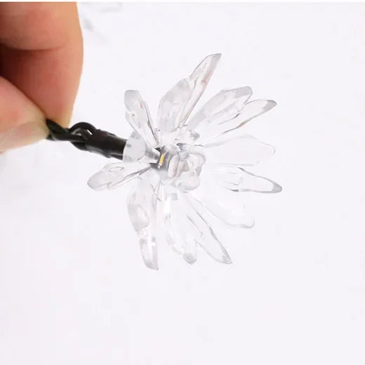 Norvo | Peach Blossom Fairy Lights