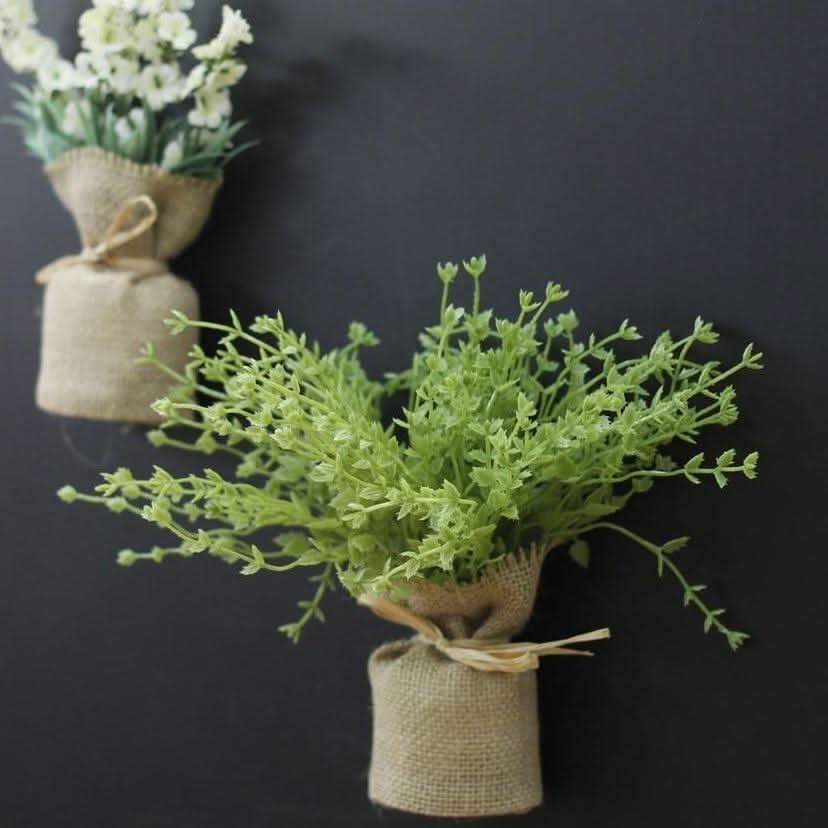 Norvo | MAGNALEAF - Magnetiske Mini Plantere