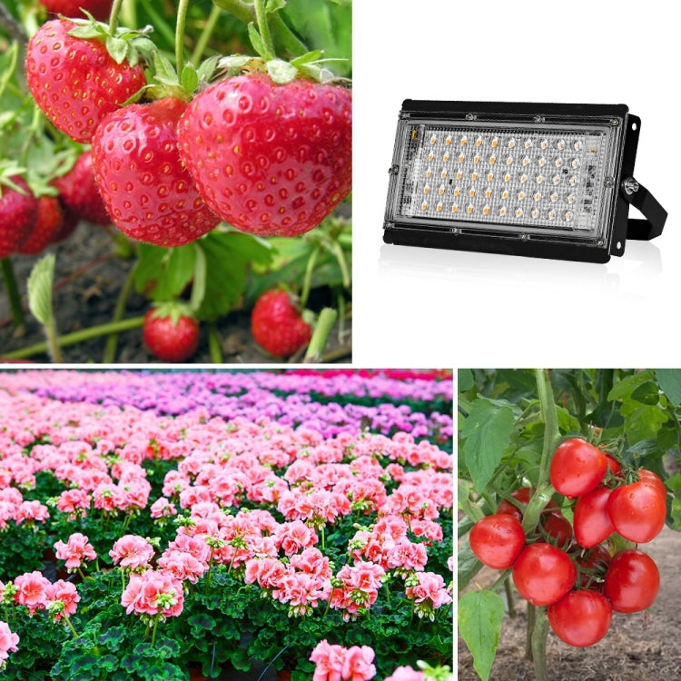 Norvo | LED Plantebelysning Full Spektrum Vanntett Grow Light EU Plugg 144 Perler 200W