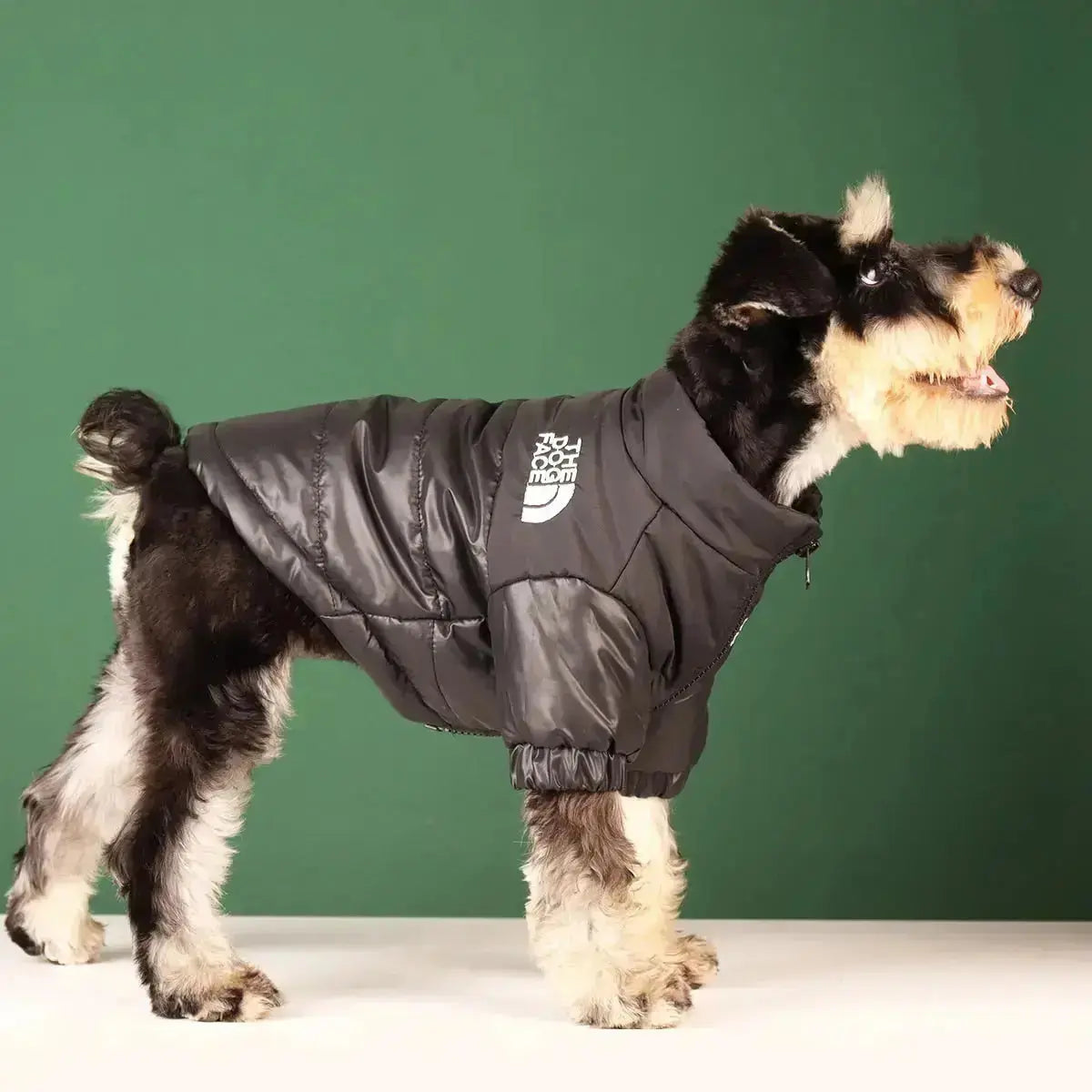 Norvo | The Dog Face Jacket - Type A