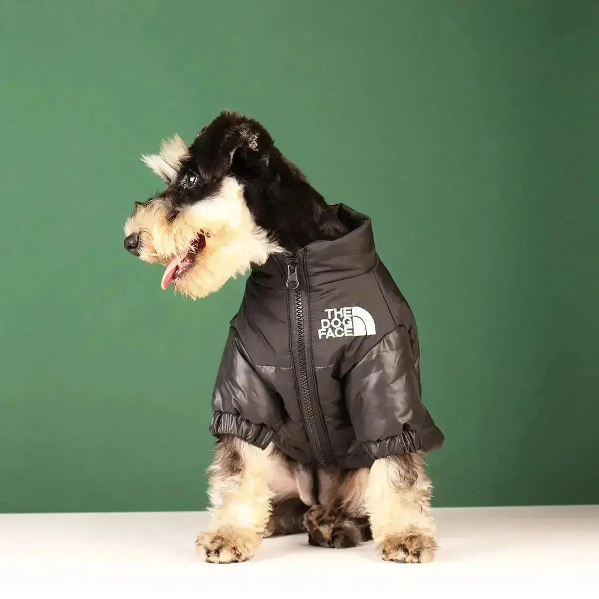 Norvo | The Dog Face Jacket - Type A